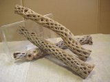 （太５０cm）天然サボテンの骨