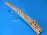 （太６５cm）天然サボテンの骨