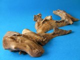 セレクト流木（特大）　９１×４０☓１４cm　２