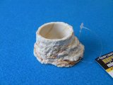 レプティボウル２　ミニ（直径６．５×高さ３ｃｍ）