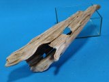 セレクト流木　５４×１２cm　(a18）