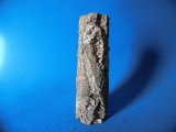 天然コルクの原木　７（25×9cm）