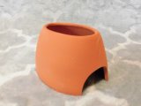 ヤモリの宿（Ｌ）　幅13×奥行き10×高さ8ｃｍ
