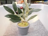 フェイクグリーン　４　鉢径８×高さ１９cm