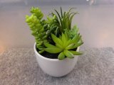フェイクグリーン　１　鉢径９×高さ１３cm