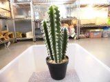 フェイクグリーン　５　鉢径１３×高さ３５cm
