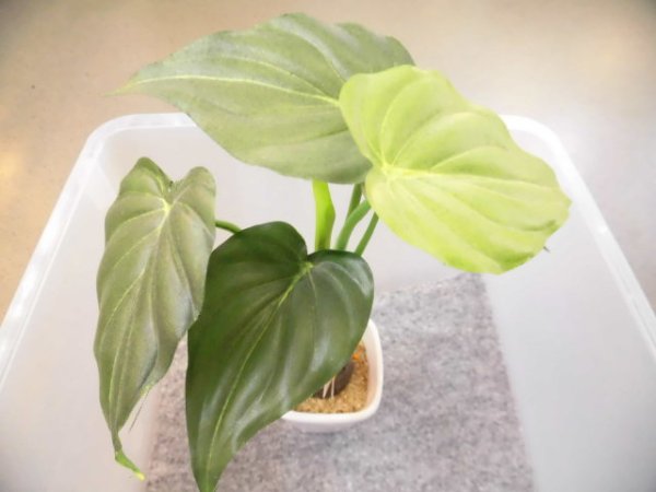 画像2: フェイクグリーン　６（光触媒）鉢径７×高さ２８cm