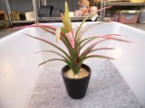 フェイクグリーン　１１（光触媒）鉢径２２×高さ７．５cm