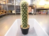 フェイクグリーン　９　鉢径１３×高さ４２cm