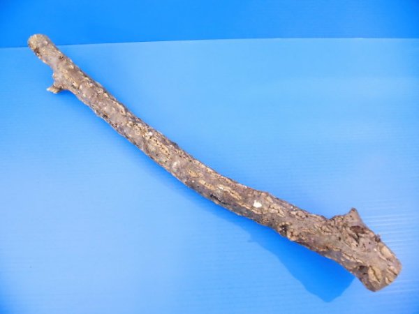 画像3: 天然コルクの枝　４（48×5cm）