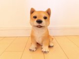 柴犬（訳あり）　W11x 4.5 x 17cm