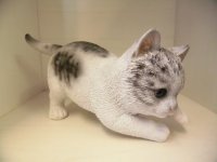 子猫（サバトラ）　W19x 18.5 x 11.5cm