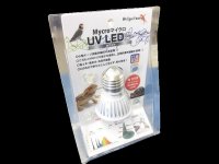 マイクロ　UV LEDランプ（E２６）