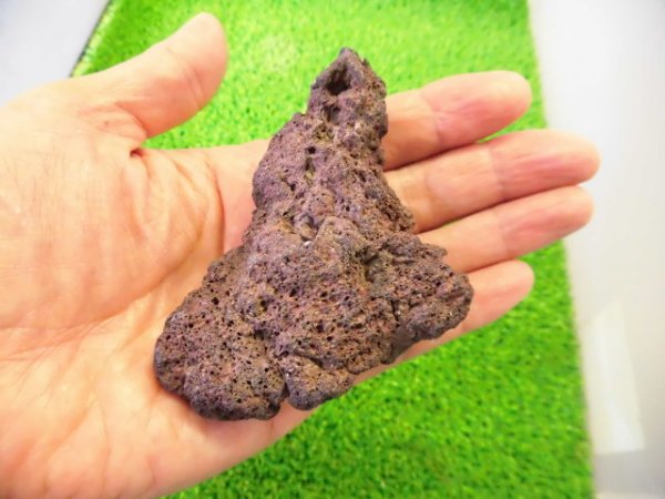 画像3: 溶岩石（５〜７cm）