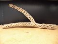 天然サボテンの骨　枝１（６２☓３１☓６cm）