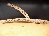 天然サボテンの骨　枝１（６２☓３１☓６cm）