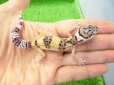 画像1: 美！　ハイイエロー（ヒョウモントカゲモドキ）　約１０cm　１ (1)
