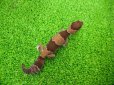 画像4: 美！　ニシアフリカトカゲモドキ（ワイルド完尾）　約１３cm♀　２ (4)