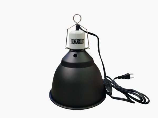 画像4: ライトドーム　１４cm