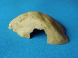 レプタイルケイブ（Ｍ）　幅24×奥16×高さ6.6ｃｍ
