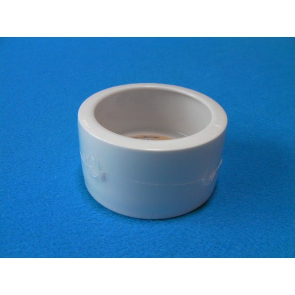 画像1: レプタイルカップ　（直径１０cm×高５．３ｃｍ） (1)