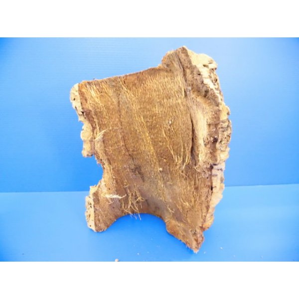画像2: 天然コルクの皮　３（30×20cm） (2)