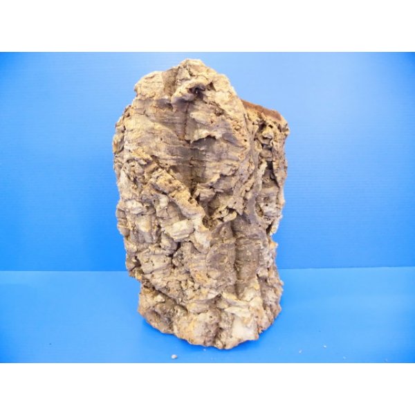 画像1: 天然コルクの皮　３（30×20cm） (1)