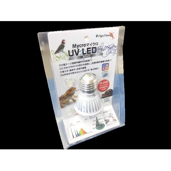 画像1: マイクロ　UV LEDランプ（E２６） (1)