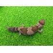 画像4: 美！　ニシアフリカトカゲモドキ（オレオ）　約１３cm♀　１ (4)