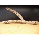 画像: 天然サボテンの骨　枝１（６２☓３１☓６cm）
