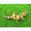 画像4: 美！　ハイイエロー（ヒョウモントカゲモドキ）　約１０cm　１ (4)