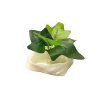 画像: 葉っぱ付き水入れ　（縦８×横８×高６.５cm）