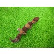 画像4: 美！　ニシアフリカトカゲモドキ（ワイルド完尾）　約１３cm♀　２ (4)