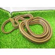 画像2: 美！　シマヘビ　約９０cm　１ (2)