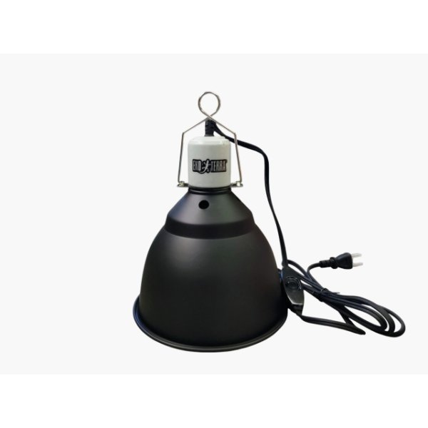 画像4: ライトドーム　１４cm (4)