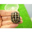 画像4: 美！　クサガメ（色変わり）　約３.５cm　１ (4)