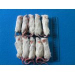 画像: （アダルトＬ）１０匹　国産冷凍マウス　アダルトＬ（約９ｃｍ）